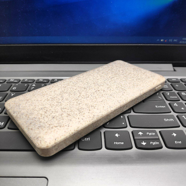 Портативное зарядное устройство Power Bank 10000 mAh / Micro, Type C, USB-выход